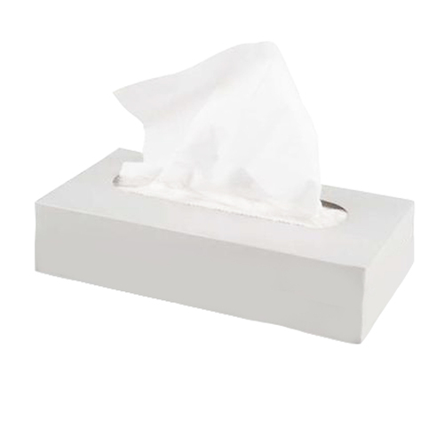 Pañuelos faciales papel tissue - caja 100 - Grup Berca Distribucions